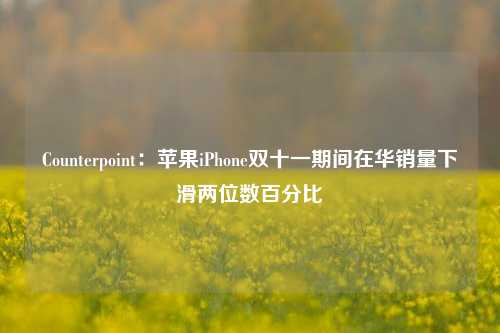 Counterpoint：苹果iPhone双十一期间在华销量下滑两位数百分比-第1张图片-厦门装修网 