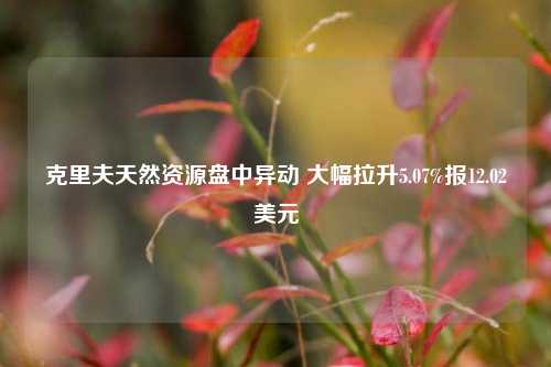 克里夫天然资源盘中异动 大幅拉升5.07%报12.02美元-第1张图片-厦门装修网 