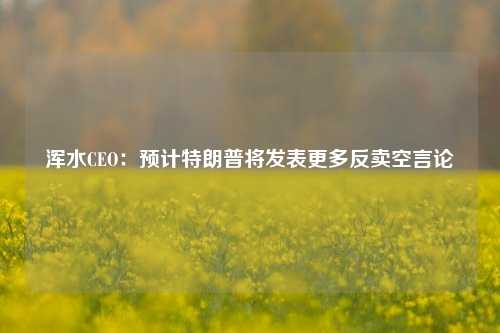 浑水CEO：预计特朗普将发表更多反卖空言论-第1张图片-厦门装修网 