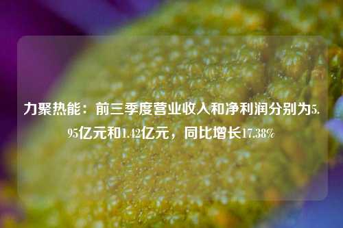 力聚热能：前三季度营业收入和净利润分别为5.95亿元和1.42亿元，同比增长17.38%-第1张图片-厦门装修网 