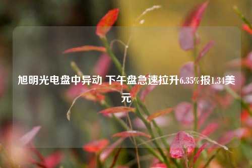 旭明光电盘中异动 下午盘急速拉升6.35%报1.34美元-第1张图片-厦门装修网 