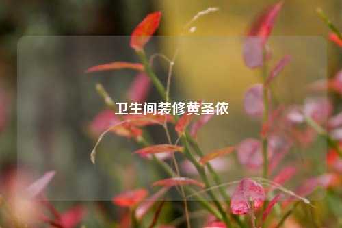 卫生间装修黄圣依-第1张图片-厦门装修网 