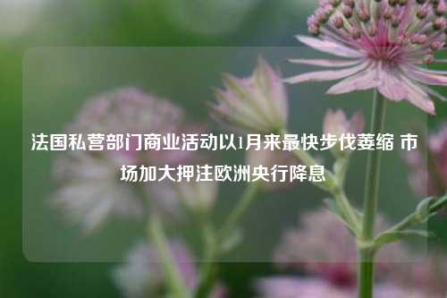 法国私营部门商业活动以1月来最快步伐萎缩 市场加大押注欧洲央行降息-第1张图片-厦门装修网 