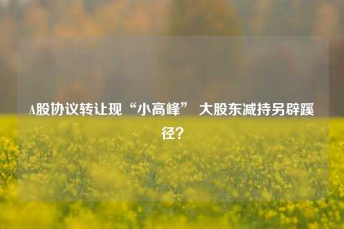 A股协议转让现“小高峰” 大股东减持另辟蹊径？-第1张图片-厦门装修网 