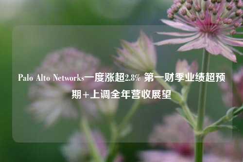 Palo Alto Networks一度涨超2.8% 第一财季业绩超预期+上调全年营收展望-第1张图片-厦门装修网 