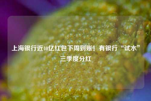 上海银行近40亿红包下周到账！有银行“试水”三季度分红-第1张图片-厦门装修网 