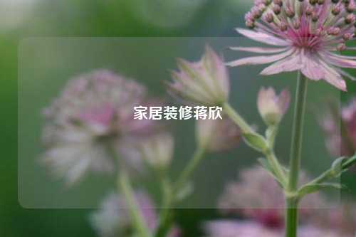 家居装修蒋欣-第1张图片-厦门装修网 