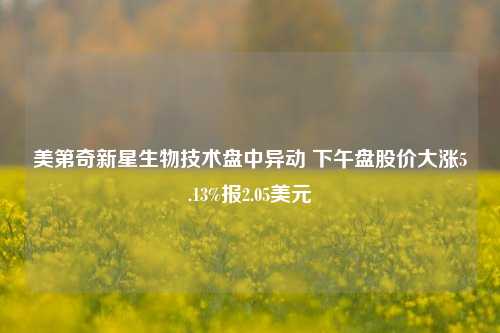 美第奇新星生物技术盘中异动 下午盘股价大涨5.13%报2.05美元-第1张图片-厦门装修网 