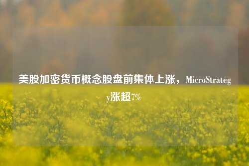 美股加密货币概念股盘前集体上涨，MicroStrategy涨超7%-第1张图片-厦门装修网 