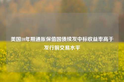 美国10年期通胀保值国债续发中标收益率高于发行前交易水平-第1张图片-厦门装修网 