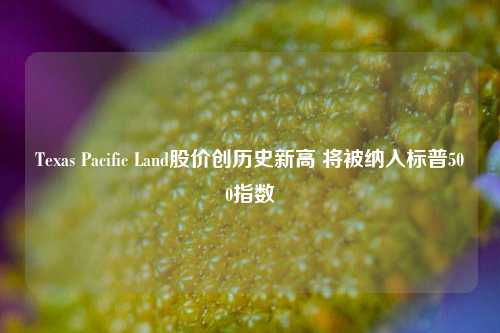 Texas Pacific Land股价创历史新高 将被纳入标普500指数-第1张图片-厦门装修网 