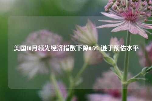 美国10月领先经济指数下降0.5% 逊于预估水平-第1张图片-厦门装修网 