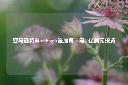 亚马逊将向Anthropic追加第二笔40亿美元投资-第1张图片-厦门装修网 