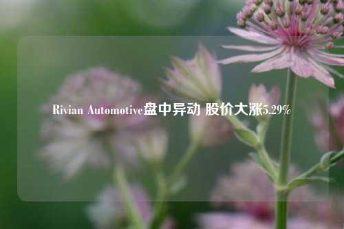 Rivian Automotive盘中异动 股价大涨5.29%-第1张图片-厦门装修网 