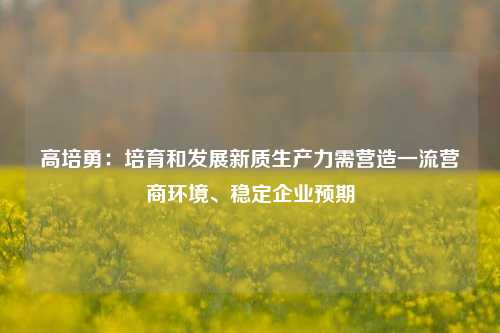 高培勇：培育和发展新质生产力需营造一流营商环境、稳定企业预期-第1张图片-厦门装修网 