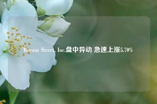 Rimini Street, Inc.盘中异动 急速上涨5.70%-第1张图片-厦门装修网 