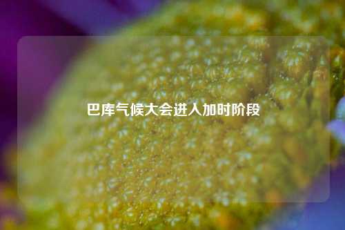 巴库气候大会进入加时阶段-第1张图片-厦门装修网 