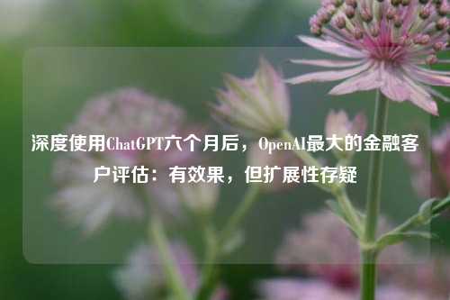 深度使用ChatGPT六个月后，OpenAI最大的金融客户评估：有效果，但扩展性存疑-第1张图片-厦门装修网 