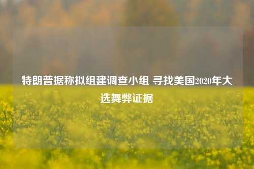 特朗普据称拟组建调查小组 寻找美国2020年大选舞弊证据-第1张图片-厦门装修网 