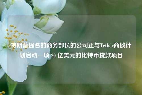 特朗普提名的商务部长的公司正与Tether商谈计划启动一项 20 亿美元的比特币贷款项目-第1张图片-厦门装修网 