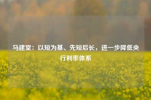 马建堂：以短为基、先短后长，进一步降低央行利率体系-第1张图片-厦门装修网 