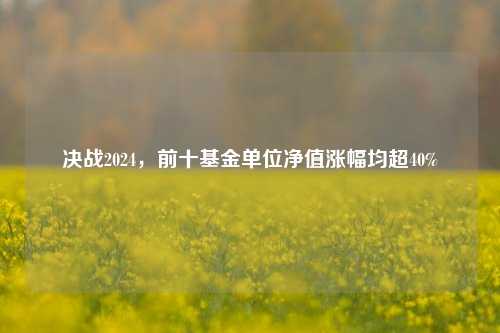 决战2024，前十基金单位净值涨幅均超40%-第1张图片-厦门装修网 