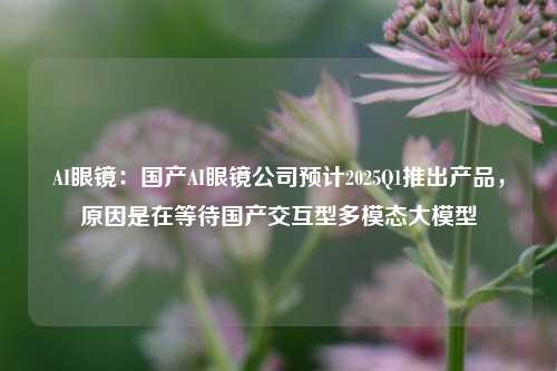 AI眼镜：国产AI眼镜公司预计2025Q1推出产品，原因是在等待国产交互型多模态大模型-第1张图片-厦门装修网 