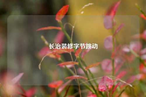 长治装修字节跳动-第1张图片-厦门装修网 