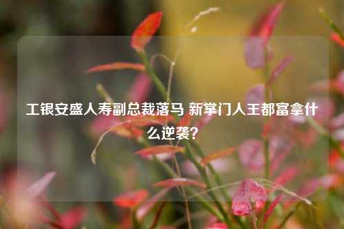 工银安盛人寿副总裁落马 新掌门人王都富拿什么逆袭？-第1张图片-厦门装修网 