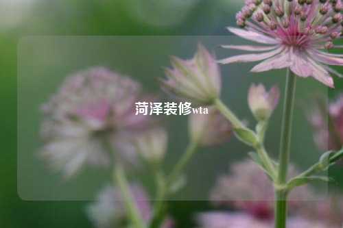 菏泽装修wta-第1张图片-厦门装修网 