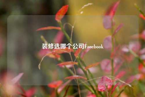 装修选哪个公司Facebook-第1张图片-厦门装修网 