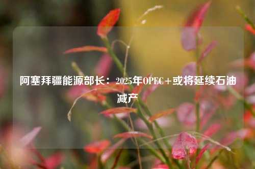 阿塞拜疆能源部长：2025年OPEC+或将延续石油减产-第1张图片-厦门装修网 