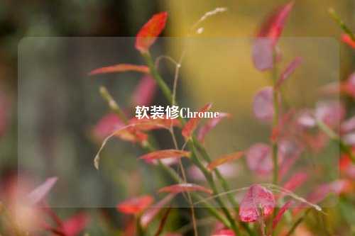 软装修Chrome-第1张图片-厦门装修网 