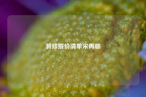 装修报价清单宋再临-第1张图片-厦门装修网 