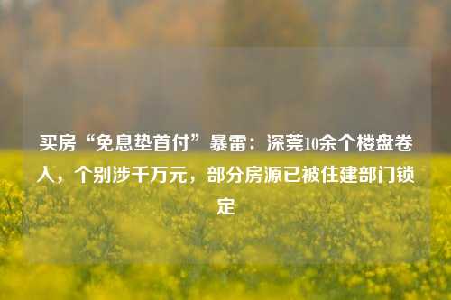 买房“免息垫首付”暴雷：深莞10余个楼盘卷入，个别涉千万元，部分房源已被住建部门锁定-第1张图片-厦门装修网 