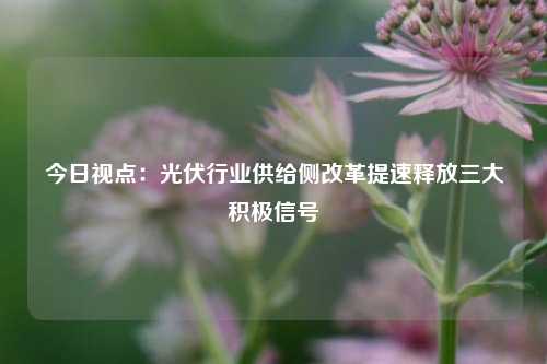 今日视点：光伏行业供给侧改革提速释放三大积极信号-第1张图片-厦门装修网 