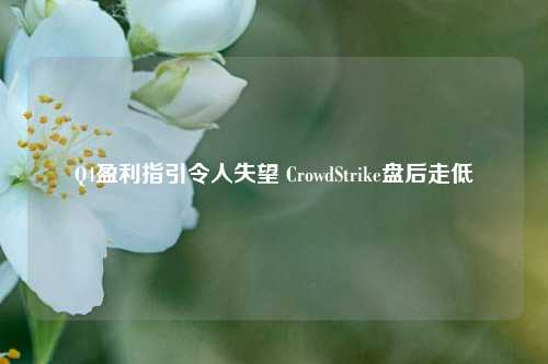 Q4盈利指引令人失望 CrowdStrike盘后走低-第1张图片-厦门装修网 