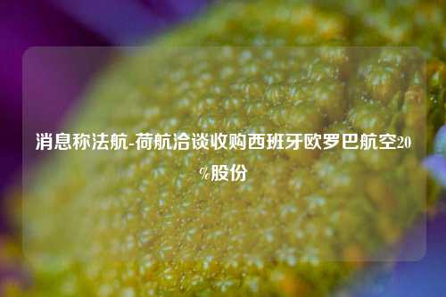 消息称法航-荷航洽谈收购西班牙欧罗巴航空20%股份-第1张图片-厦门装修网 