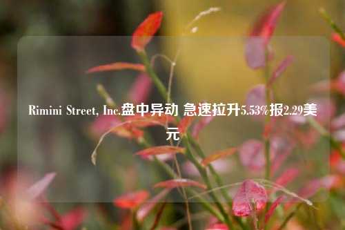 Rimini Street, Inc.盘中异动 急速拉升5.53%报2.29美元-第1张图片-厦门装修网 