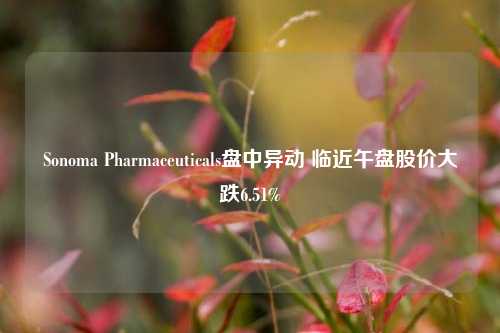 Sonoma Pharmaceuticals盘中异动 临近午盘股价大跌6.51%-第1张图片-厦门装修网 