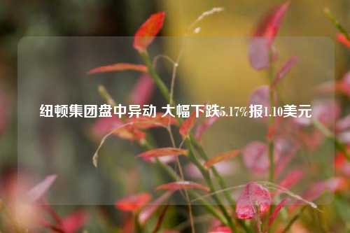 纽顿集团盘中异动 大幅下跌5.17%报1.10美元-第1张图片-厦门装修网 