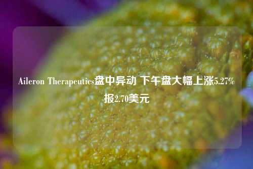 Aileron Therapeutics盘中异动 下午盘大幅上涨5.27%报2.70美元-第1张图片-厦门装修网 