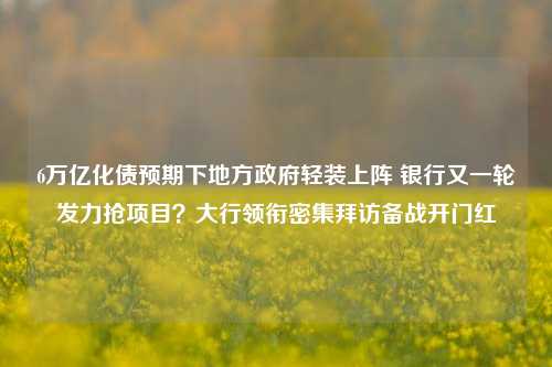 6万亿化债预期下地方政府轻装上阵 银行又一轮发力抢项目？大行领衔密集拜访备战开门红-第1张图片-厦门装修网 