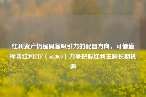 红利资产仍是具备吸引力的配置方向，可借道标普红利ETF（562060）力争把握红利主题长期机遇-第1张图片-厦门装修网 