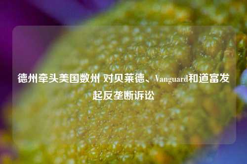 德州牵头美国数州 对贝莱德、Vanguard和道富发起反垄断诉讼-第1张图片-厦门装修网 