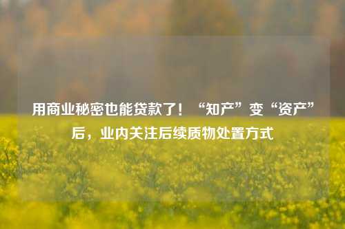 用商业秘密也能贷款了！“知产”变“资产”后，业内关注后续质物处置方式-第1张图片-厦门装修网 