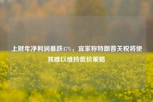 上财年净利润暴跌47%，宜家称特朗普关税将使其难以维持低价策略-第1张图片-厦门装修网 