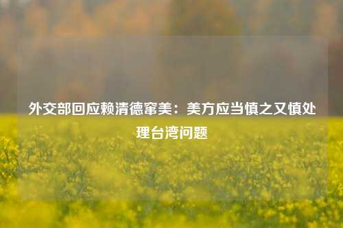 外交部回应赖清德窜美：美方应当慎之又慎处理台湾问题-第1张图片-厦门装修网 