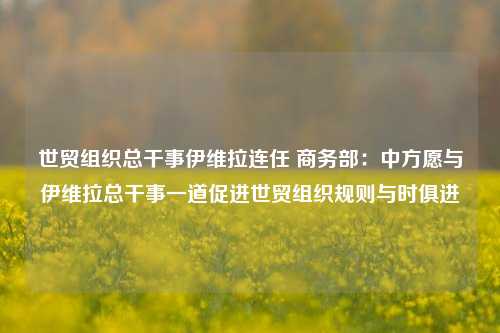 世贸组织总干事伊维拉连任 商务部：中方愿与伊维拉总干事一道促进世贸组织规则与时俱进-第1张图片-厦门装修网 