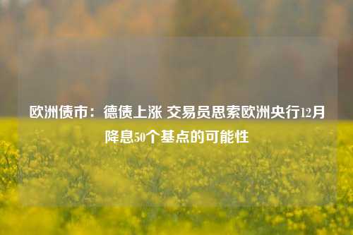 欧洲债市：德债上涨 交易员思索欧洲央行12月降息50个基点的可能性-第1张图片-厦门装修网 